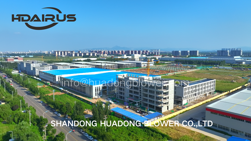 Airus company profile